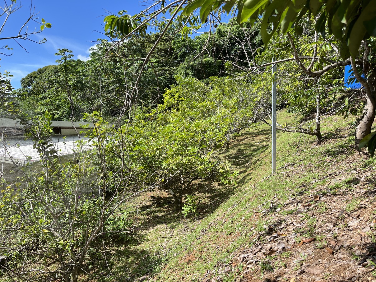 Charming Mountain Retreat in Vergel de Osa – Minutes from Ojochal, Beaches, and Waterfalls selected