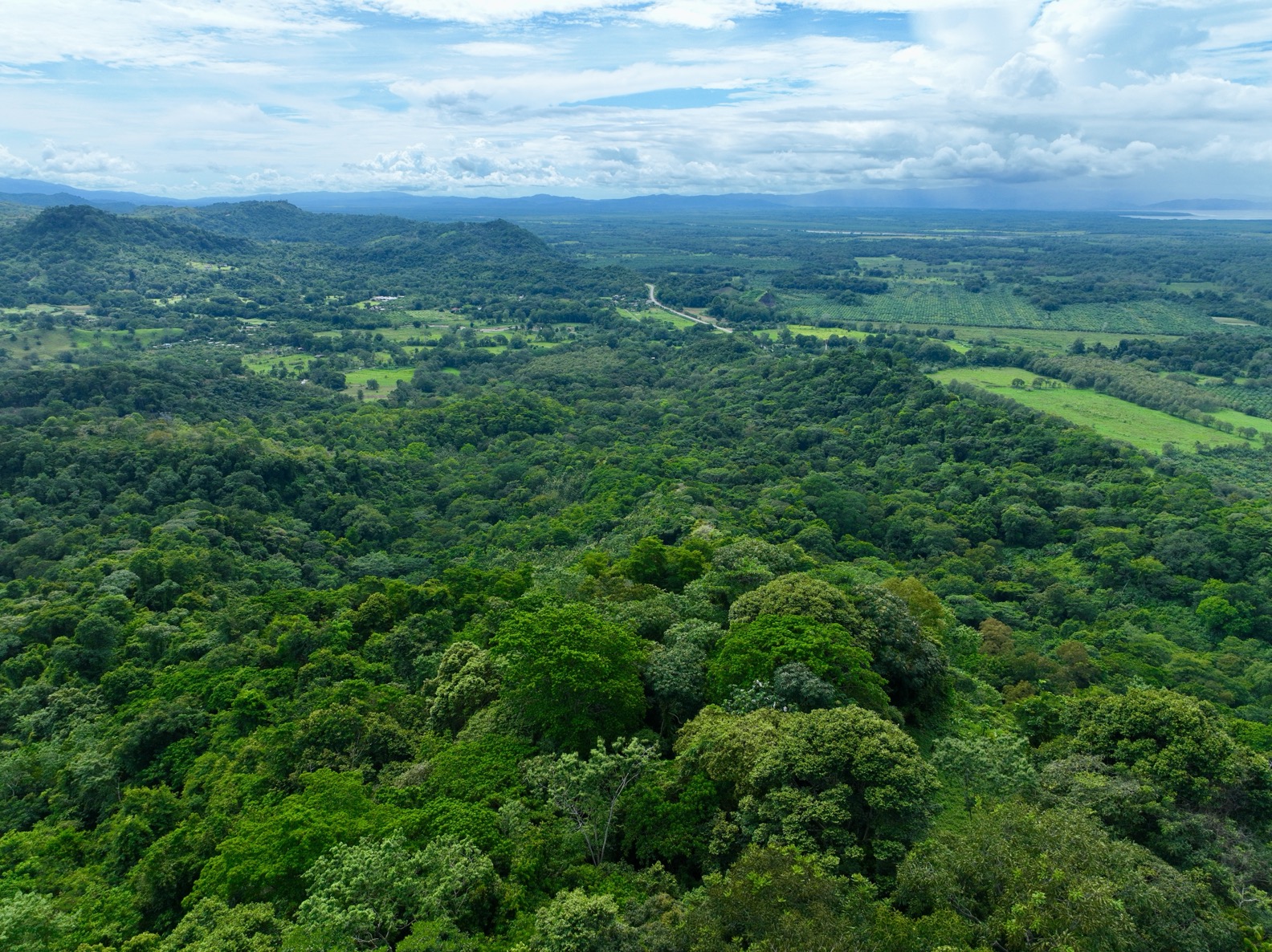 61.78 Acres of Oceanview Bliss with Private Waterfall in Tres Rios selected