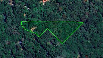 Rainforest Retreat with a Forested Setting and Good Rental History in Lagunas image 5