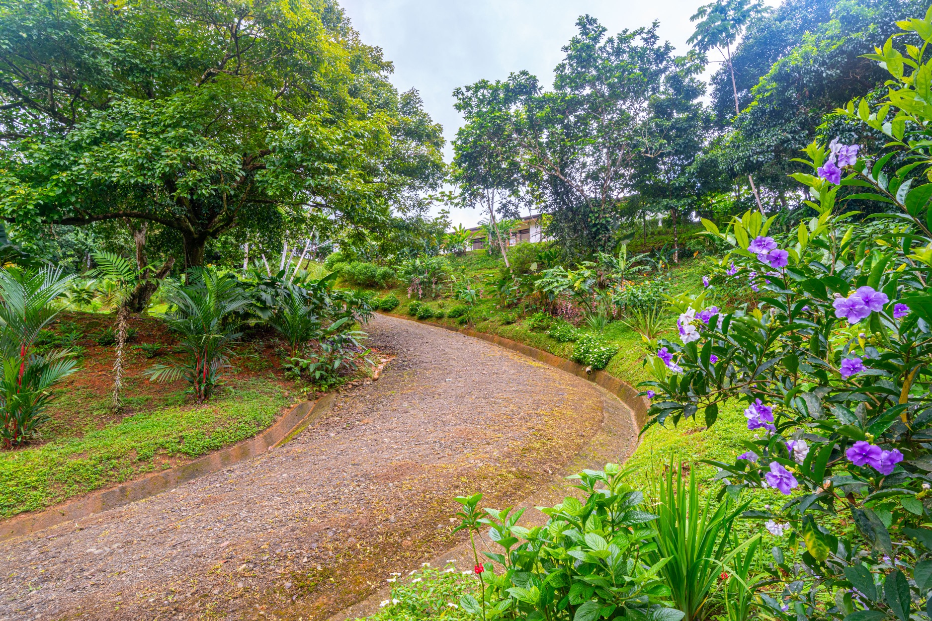 2 Bedroom Ocean View Paradise in Tres Rios selected