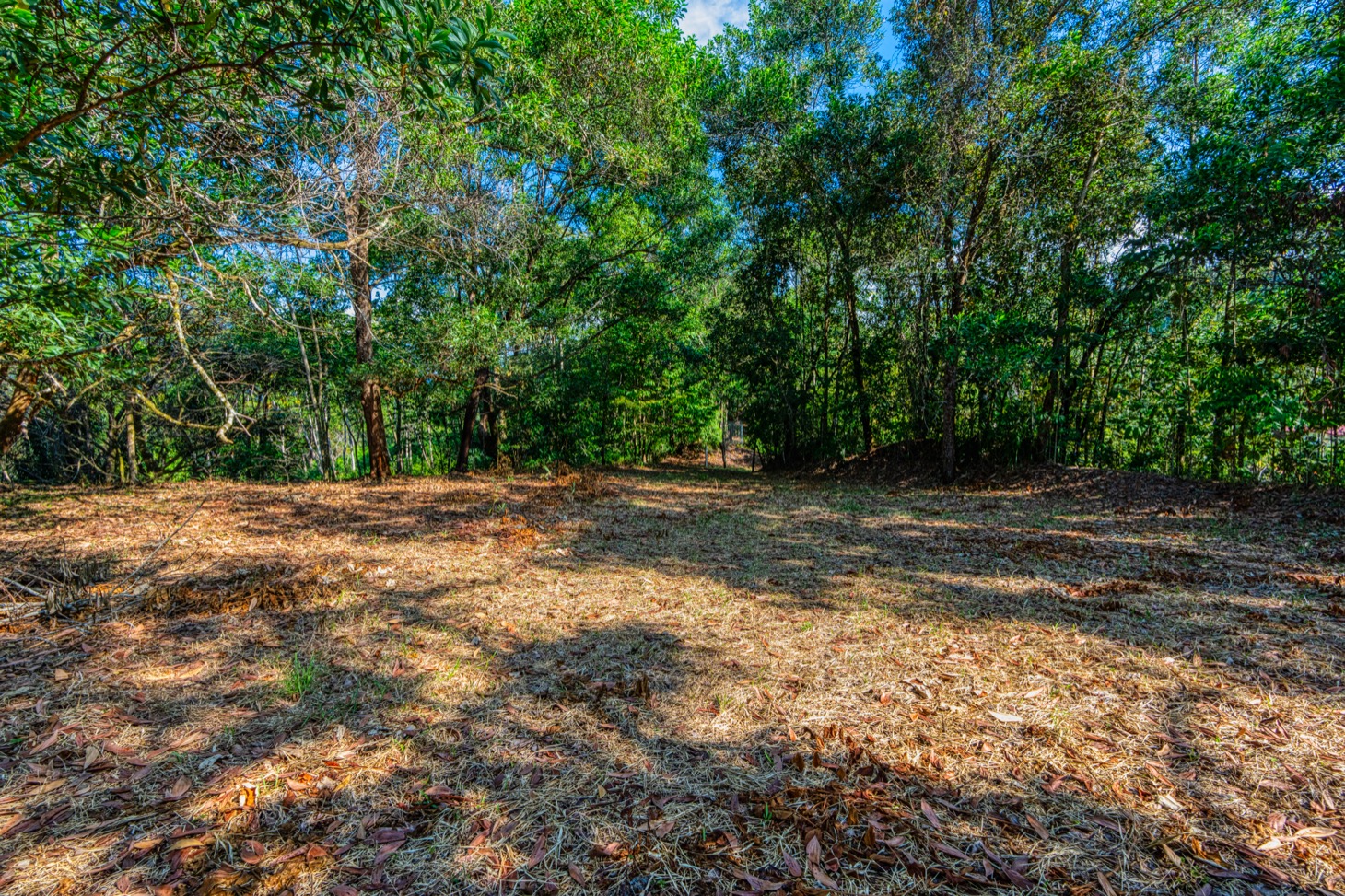 Ocean-View Property with Prime Location and Development Potential in Uvita selected