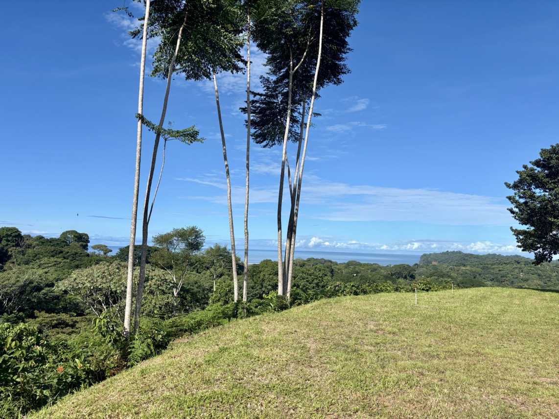 Two Ocean View Properties in Ojochal – 5.33 Acres of Pure Paradise selected