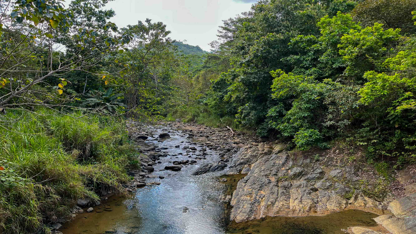 Waterfall Home in Private Community Affordable Jungle Home selected