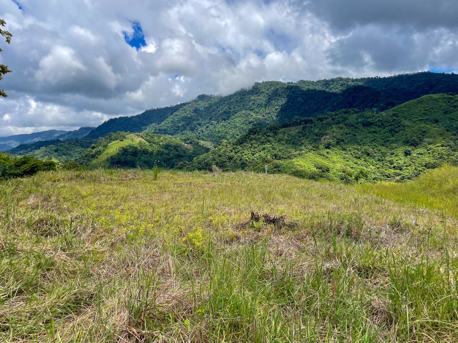 Stunning Lot for Sale in Southern Costa Rica – A Rare Opportunity! selected