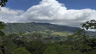 Jungle Lot with Multiple Building Sites, Legal Water, Electricity on Public Road with Big Valley & Mountain Views near San Josecito Costa Rica image 4