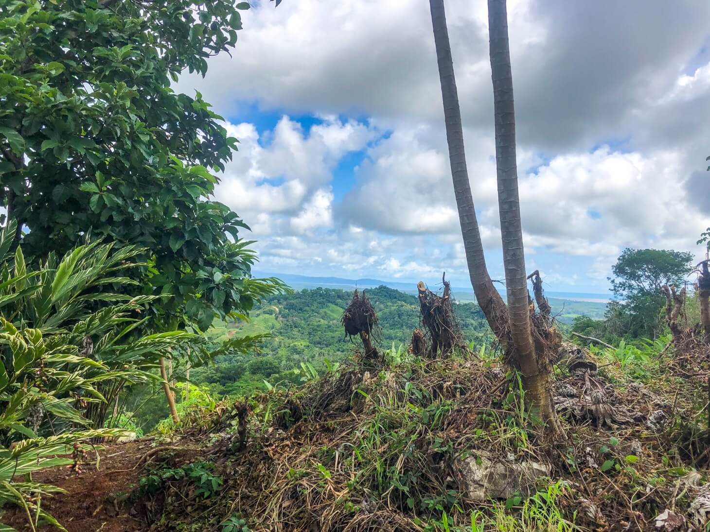 Expansive Ocean View Residential Lot in Chontales selected