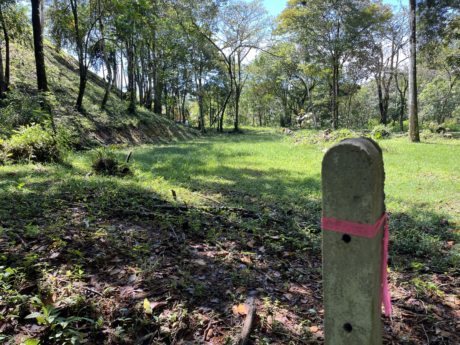 Flat Lot in Tortuga: Your Dream Project Awaits selected