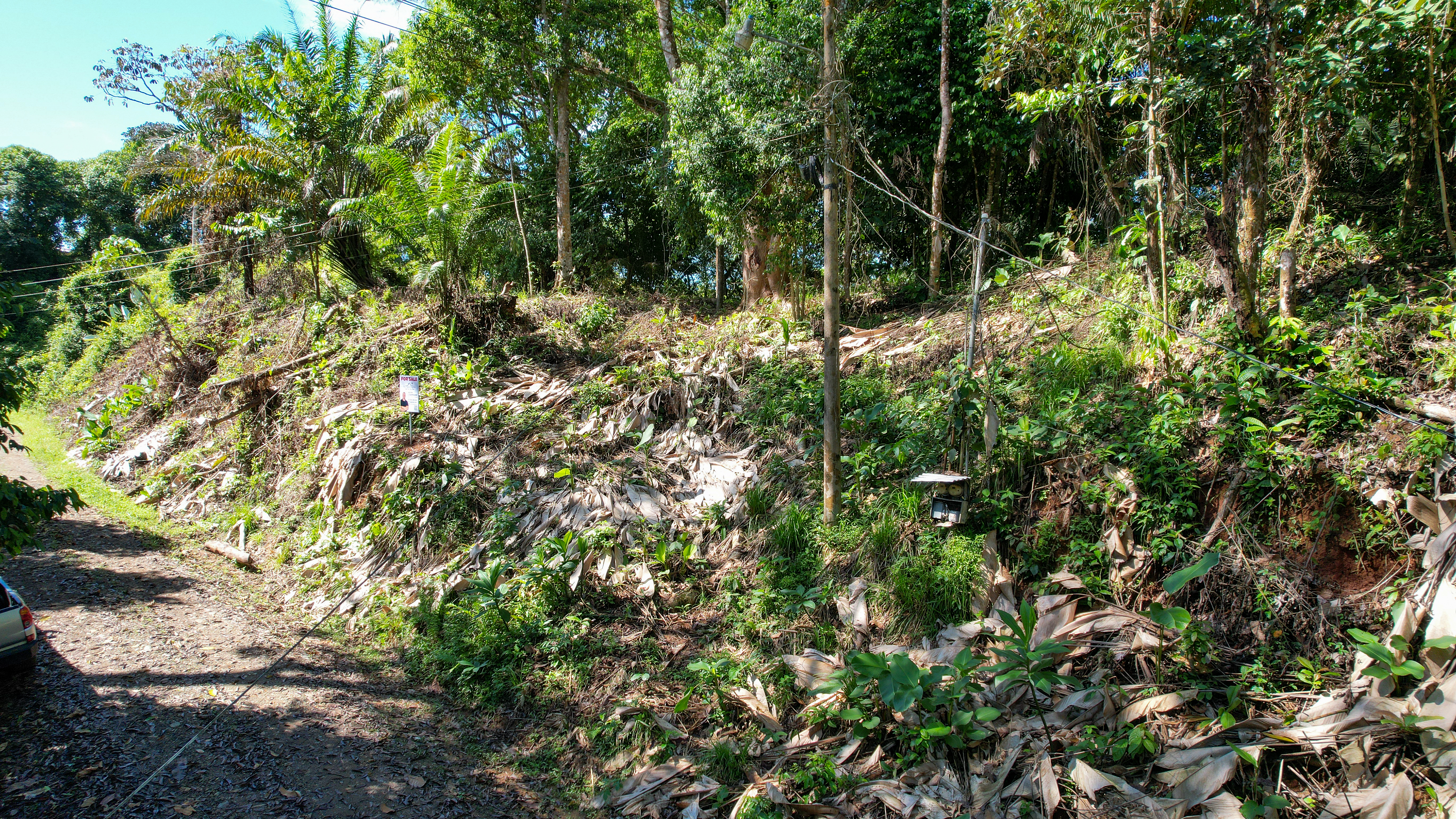 Tucked-Away Jungle Lot at the End of a Quiet Road — Ojochal, Costa Rica selected