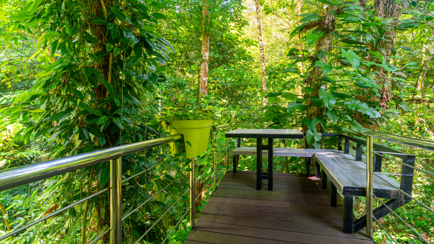 Yaba Chigui, Turnkey Riverside Eco-Resort or Private Family Compound in Ojochal selected