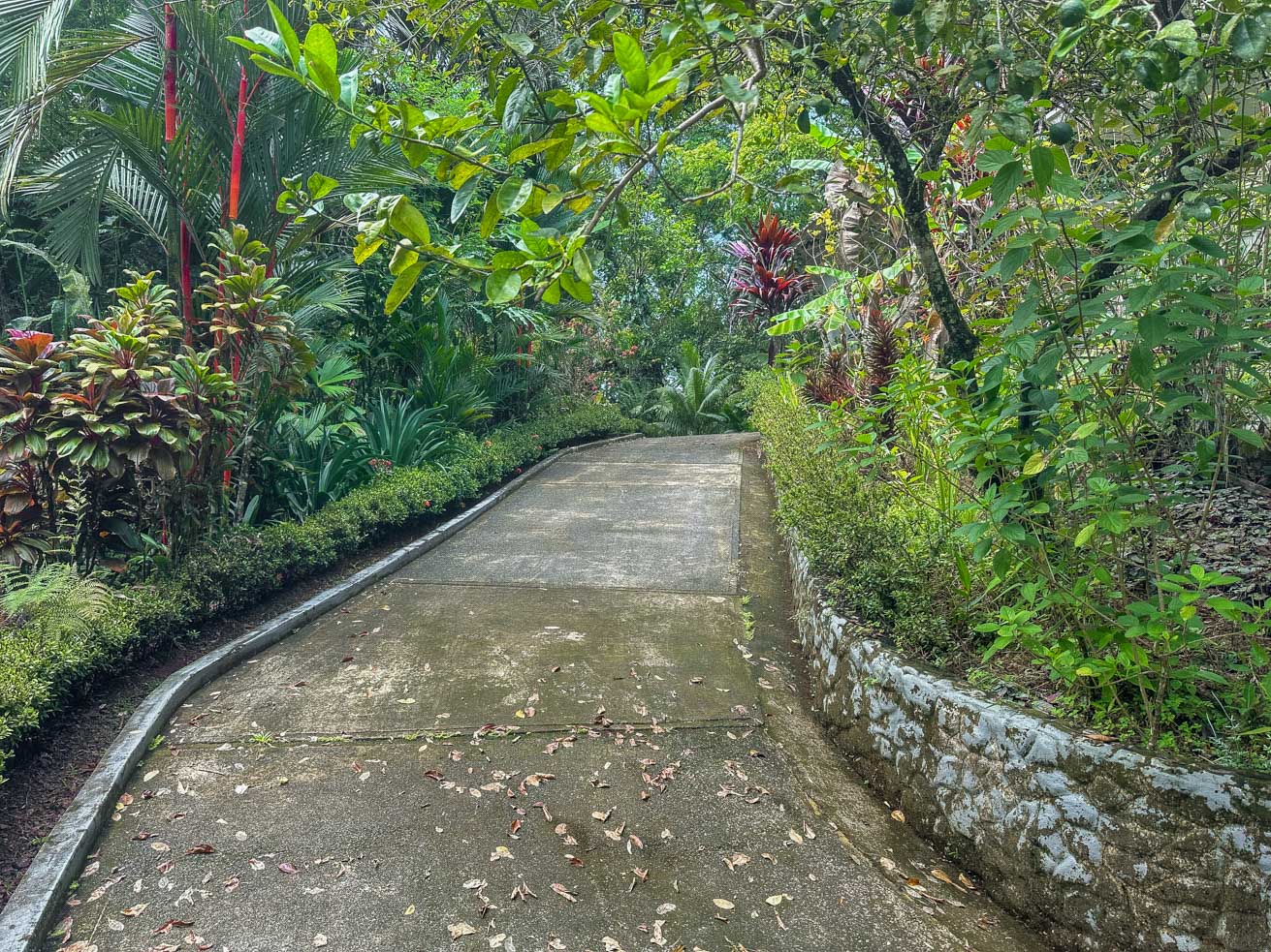 Jungle Sanctuary with Income-Generating Casitas, Creek, Pool & Ultimate Privacy in Ojochal selected