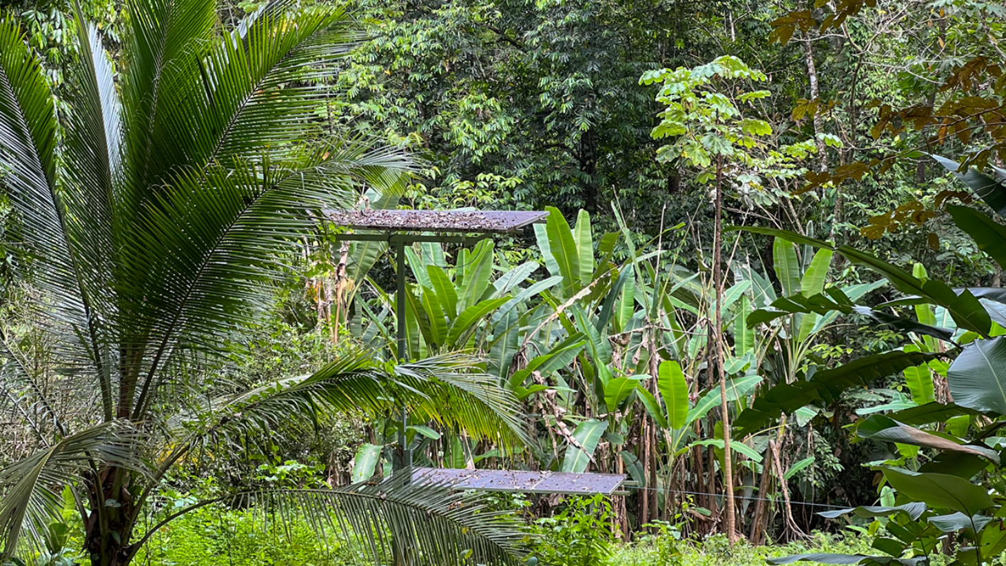 Riverfront Property with Primary Forest Close to Uvita Beaches selected