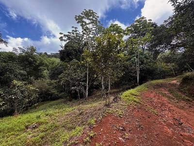 Expansive Ocean View Farm Near Playa Linda – Prime Development Opportunity with Year-Round Sunsets image 5