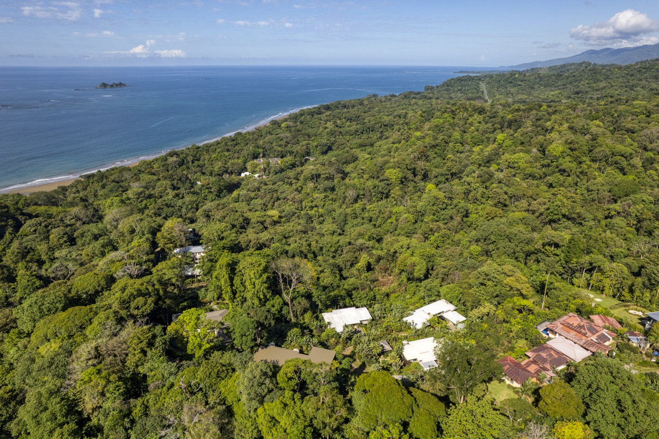 Ocean-View Wellness Estate in Costa Ballena with Luxury Rental Income selected