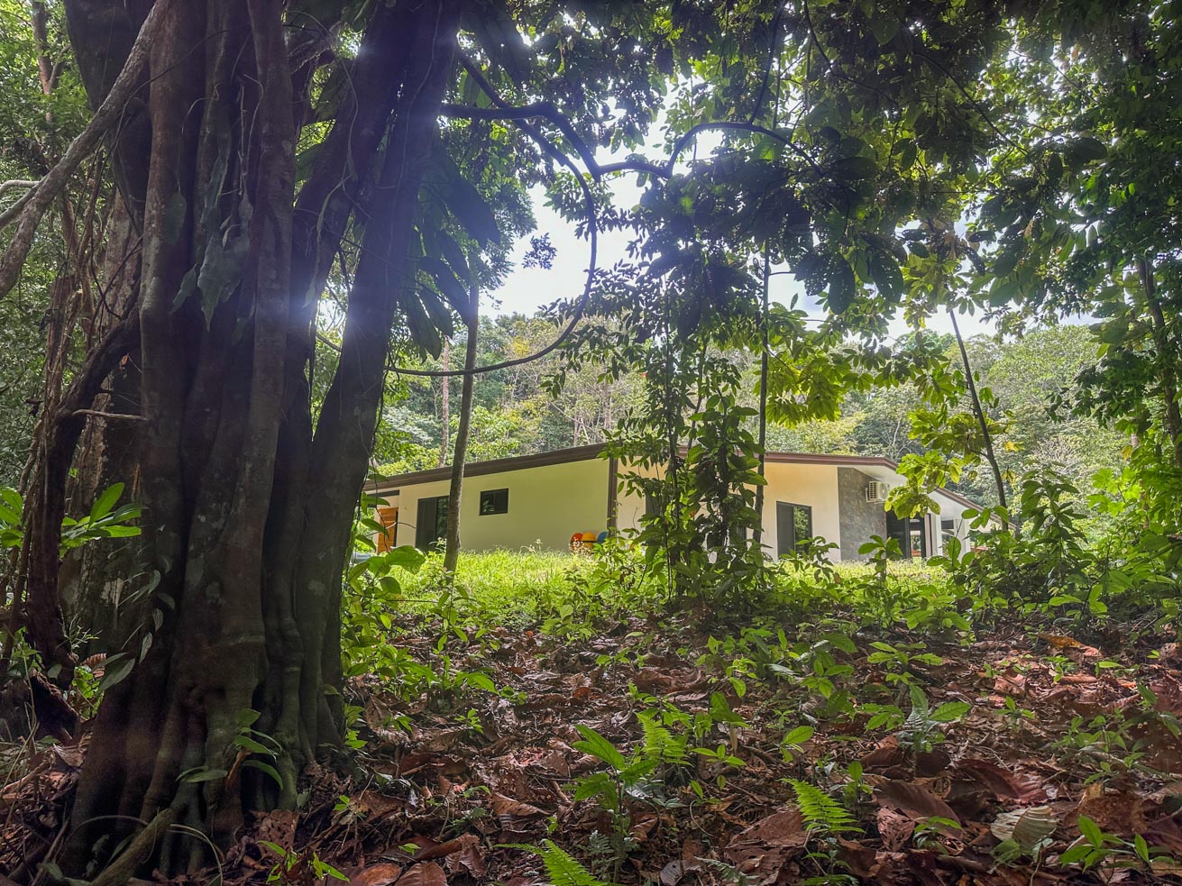 Exceptional 12-Acre Investment Property in Central Ojochal – Riverfront Jungle Estate with Home, Cabin, Workshop & Endless Development Potential selected