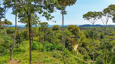 5.75 Acre Land for Sale in Ojochal | Ocean View Development Property image 1