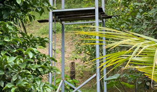 2.9 ACRES – Tons of Fruit Trees, 3 Bedroom Tico Home Plus Bodega In Tinamastes selected