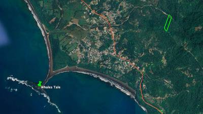 Riverfront Property with Primary Forest Close to Uvita Beaches image 2