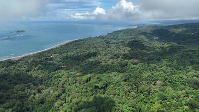 87 Acres of Natural Wonder and Endless Possibility in Ballena, Costa Rica image 2
