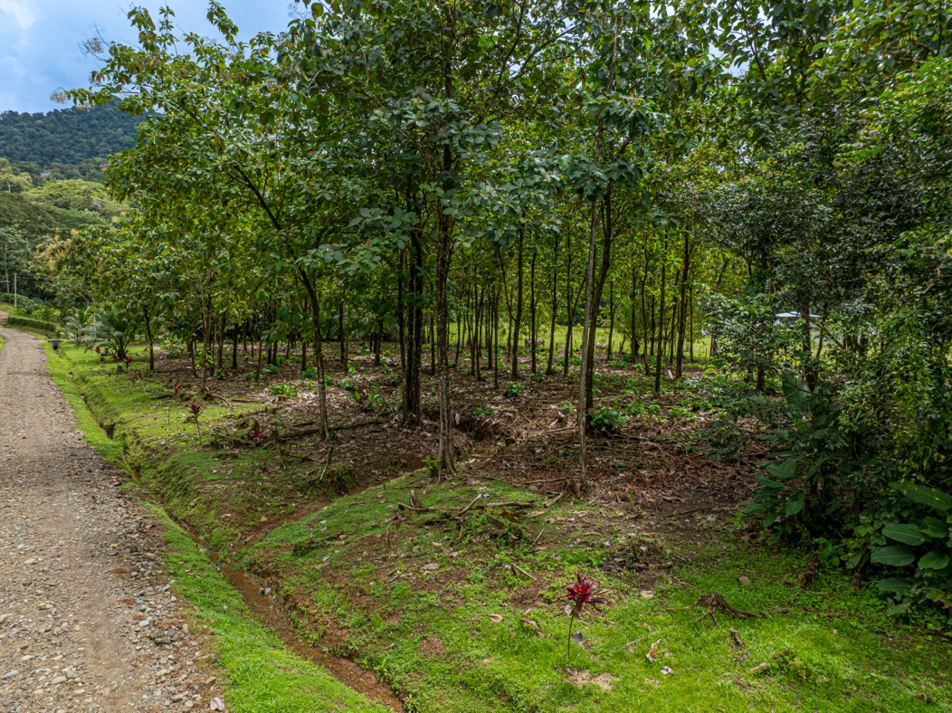 Tulpa Ridge – New Gated Ocean View Community in Matapalo selected