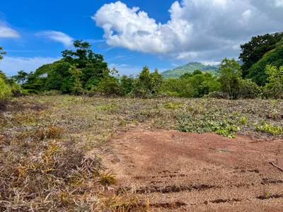Build-Ready Mountain View Estate Lot in Tres Rios  image 4