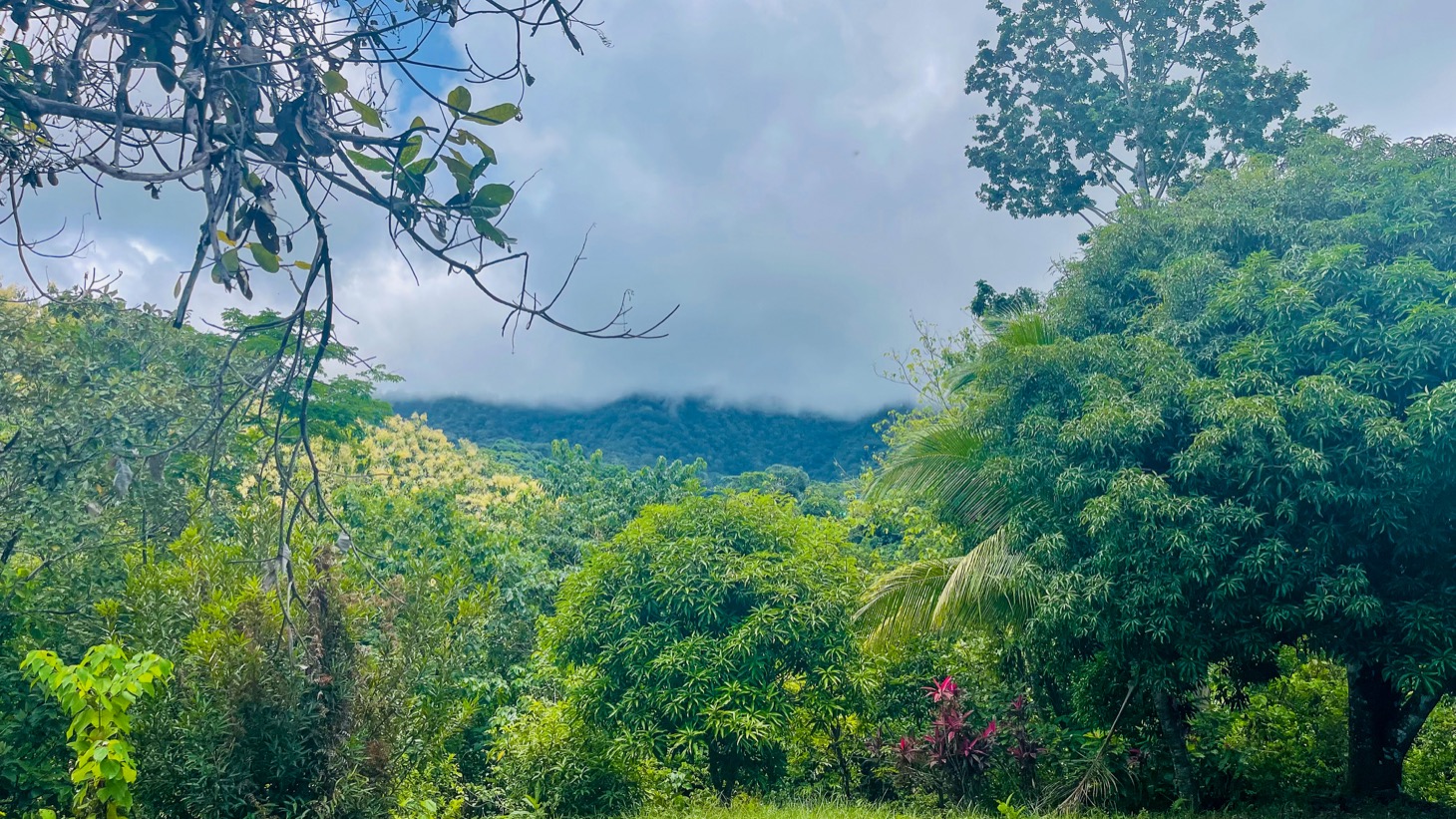 Stunning 16 acre Ocean View Property San Buenas, Costa Rica  selected