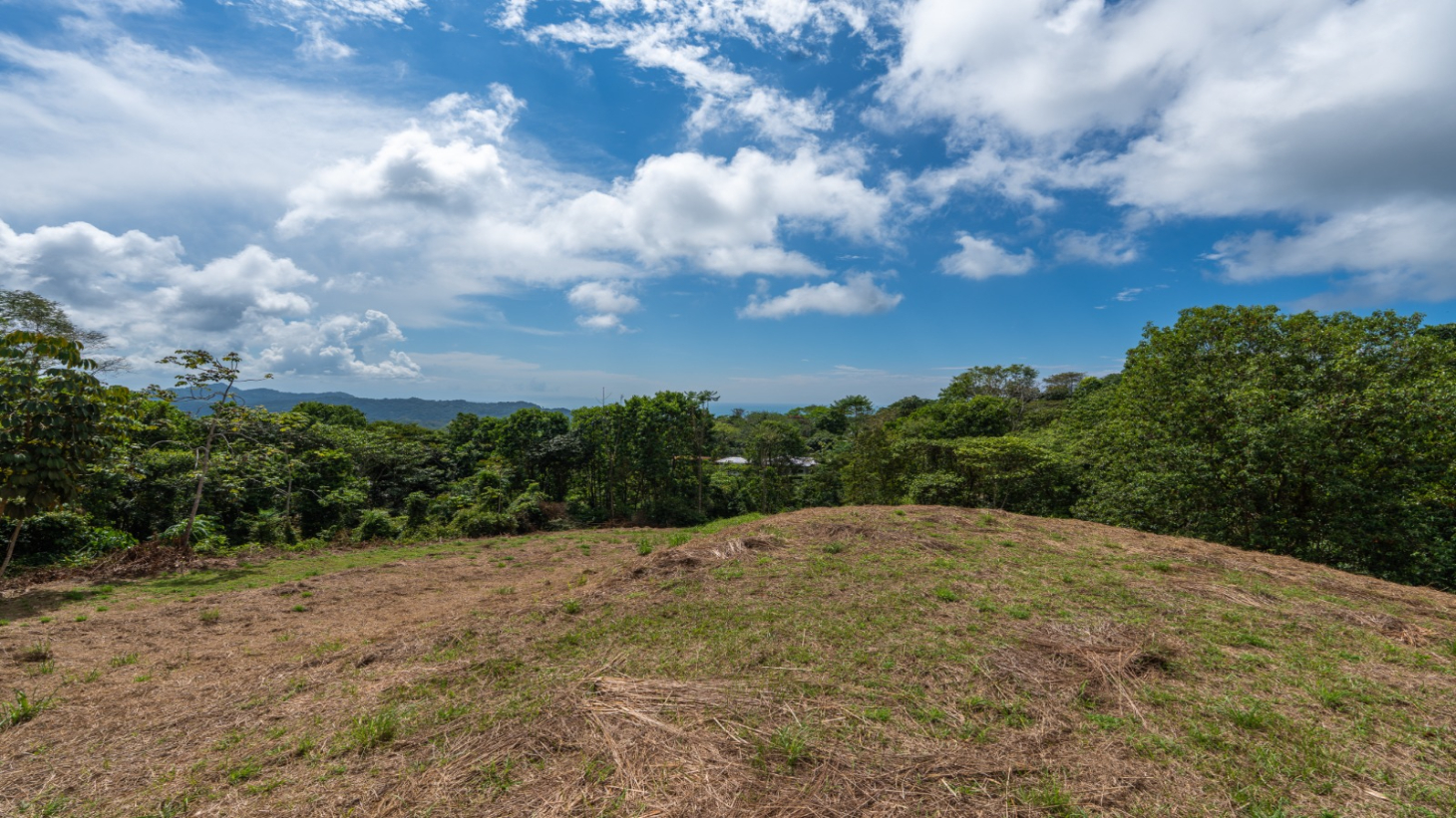 3-Acre Development Opportunity in Phase 5 Gated Community, Ojochal selected