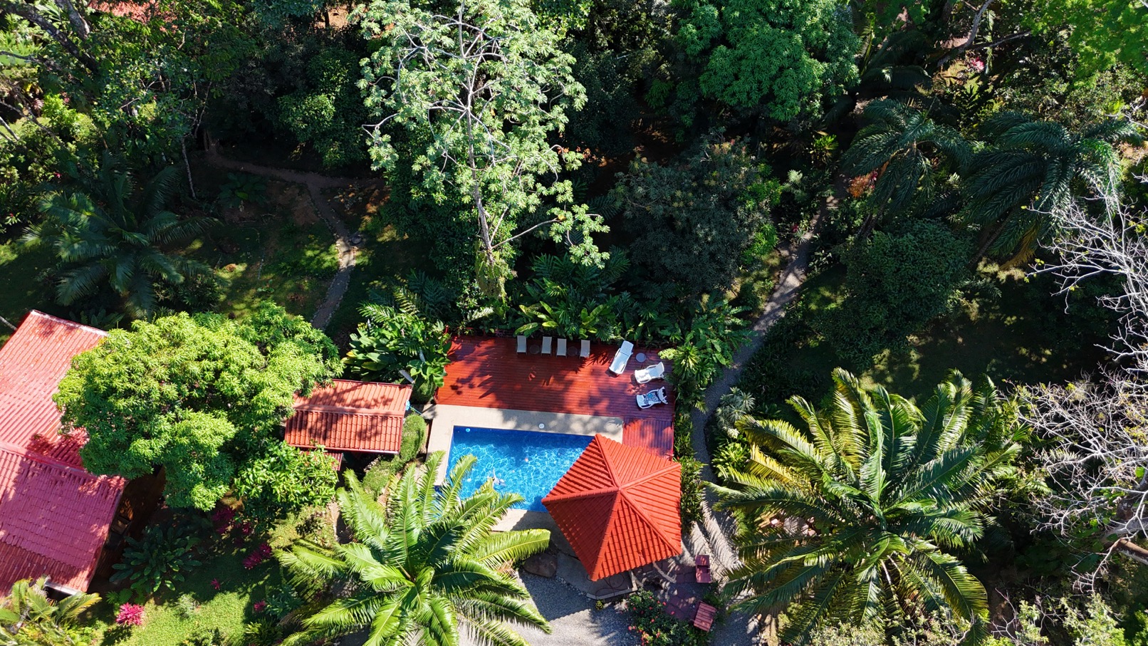 Income Producing Jungle Retreat with 8 Cabinas and Pool in the Heart of Uvita selected