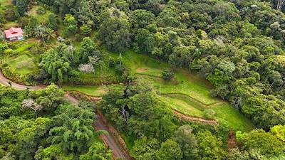 Spectacular Mountain & Ocean View Property in Cacao Ridge, Platanillo image 2