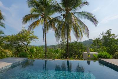 Turnkey Ocean View Jungle Villa on 2.3 Acres in Hatillo image 5