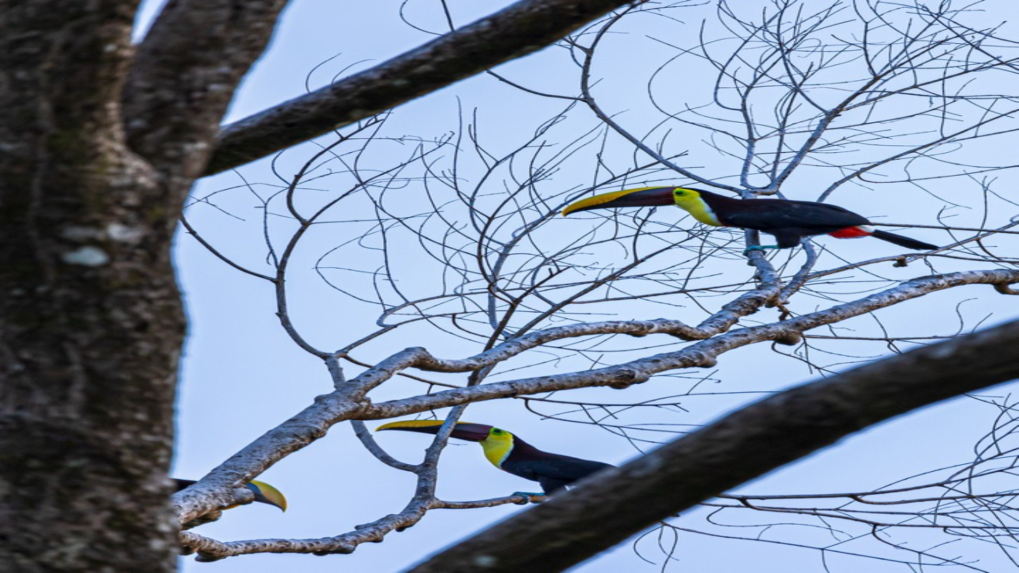 2 ACRES – 2 Bedroom Whales Tale Ocean View Home In Costa Verde Estates Gated Community selected