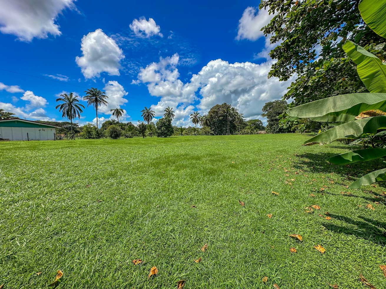 3.7-Acre Airport-Adjacent Property with Direct Runway Access, Prime Zoning, and Mountain Views selected