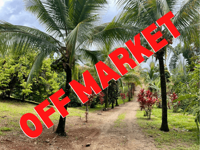 Beautiful lot in Ojochal with community pool and caretaker image 1