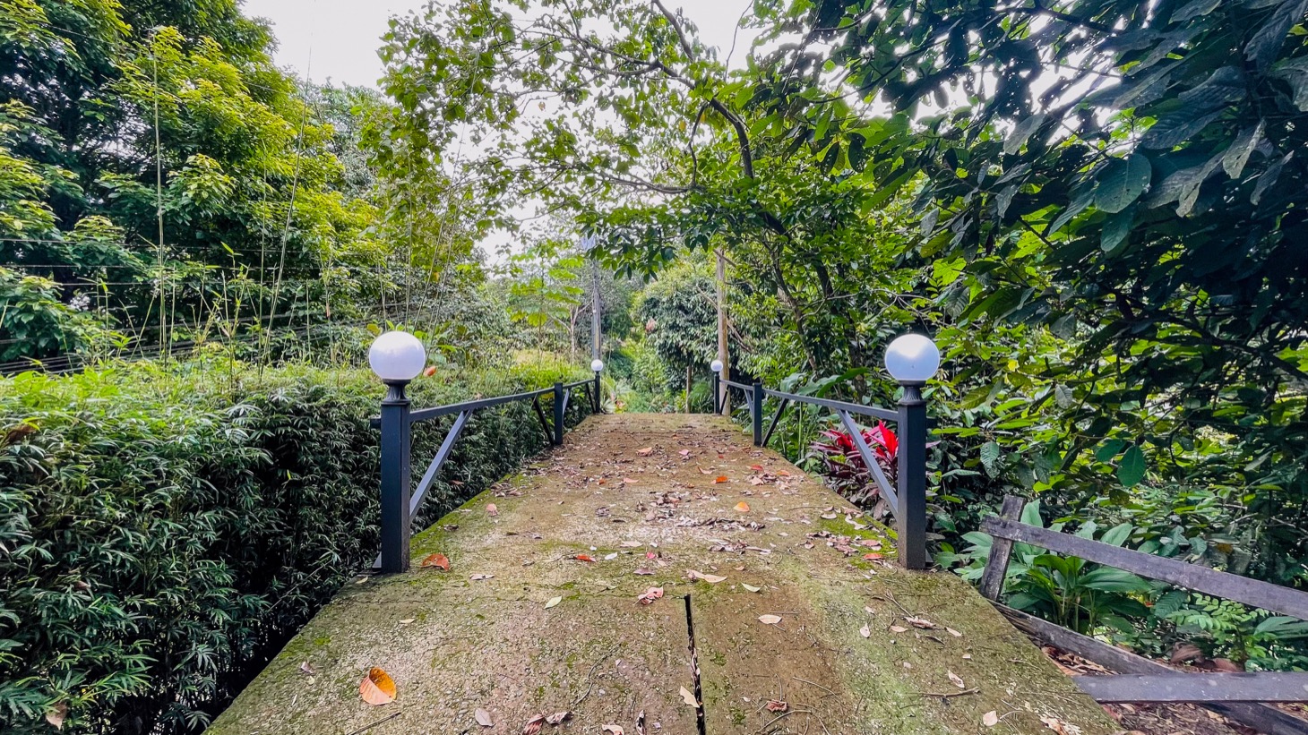 Costa Rica Jungle Home with Pool for Sale in Ojochal selected