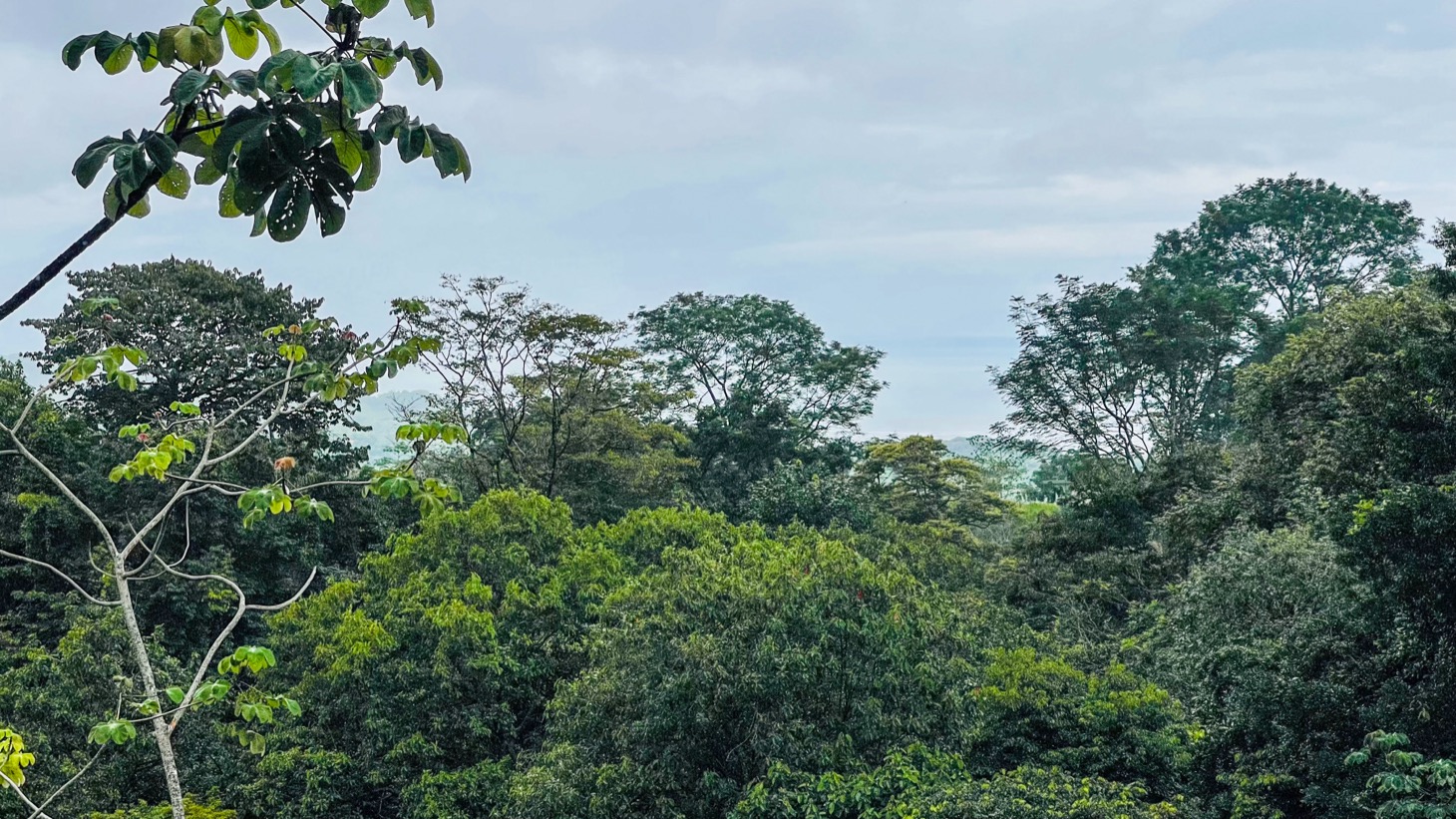 Two Homes on 1.55 Acres with Ocean & Mountain Views – Plus Room to Build! selected