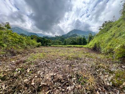 Build-Ready Mountain View Estate Lot in Tres Rios  image 1