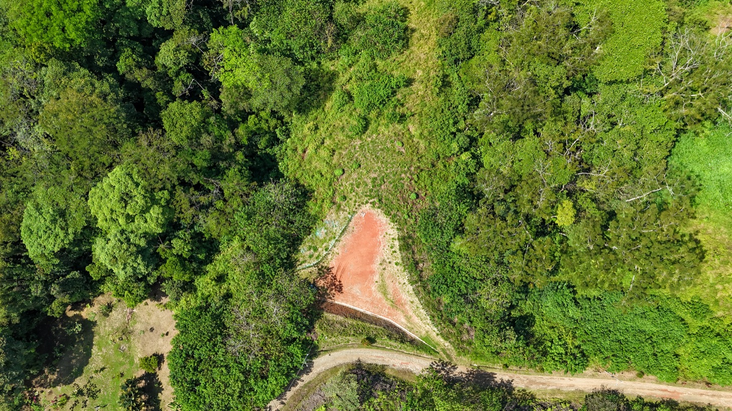 Spectacular Jungle Estate Property with Panoramic Ocean Views selected