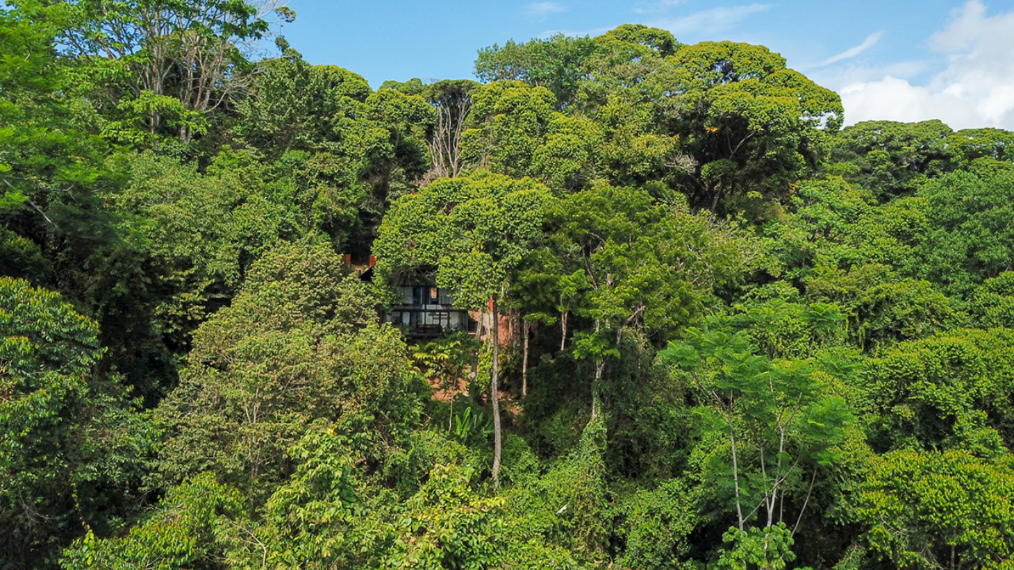 Rainforest Retreat with a Forested Setting and Good Rental History in Lagunas selected