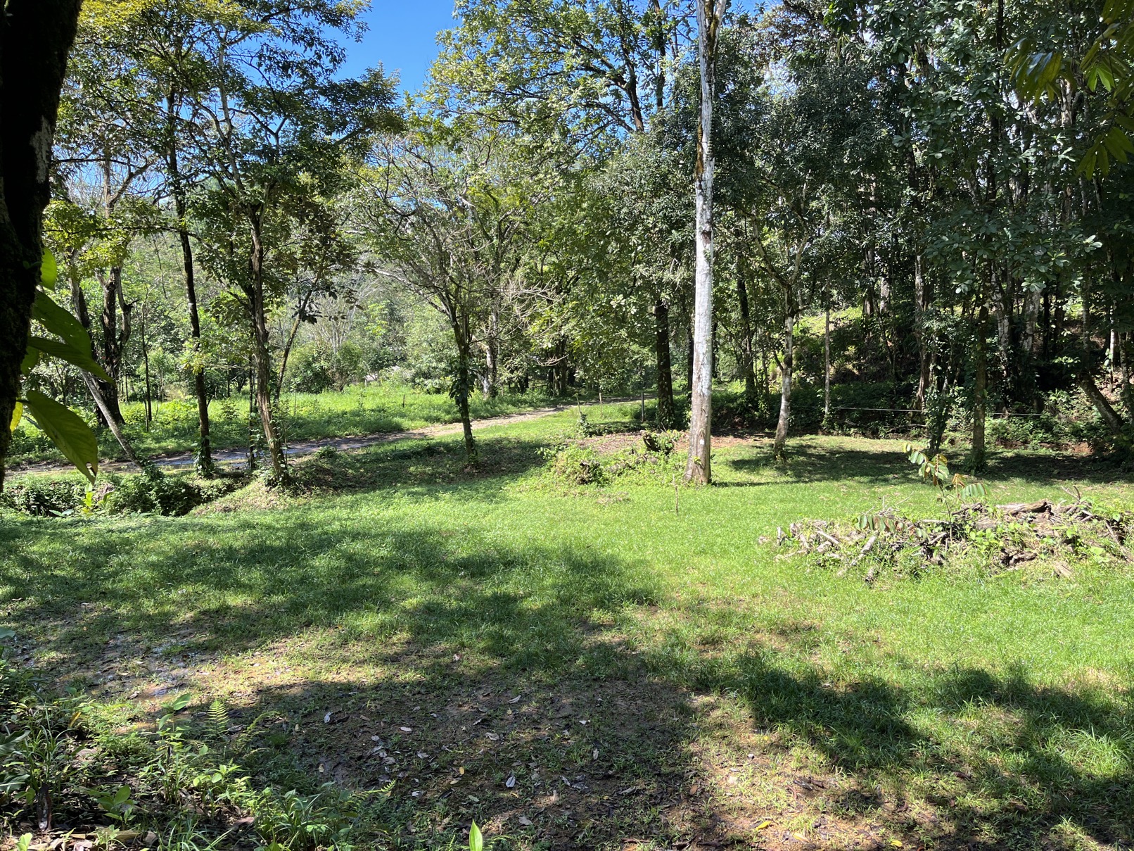 Flat Lot in Tortuga: Your Dream Project Awaits selected