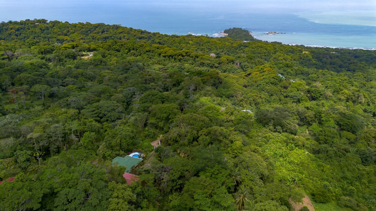 Dual-Income Opportunity Surrounded by Jungle Paradise in Escaleras selected