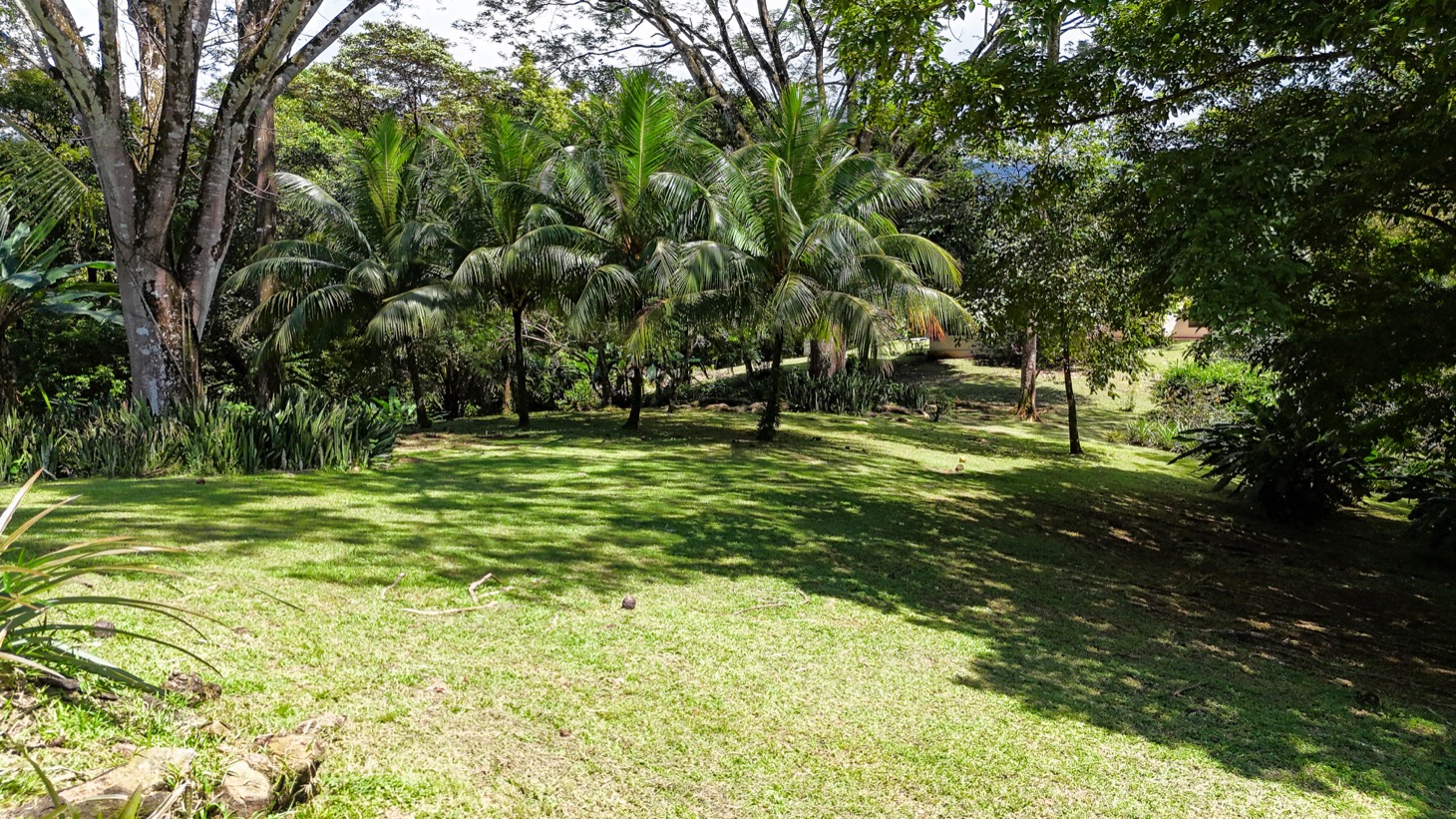 Prime Development Opportunity in Desirable Ojochal Location selected