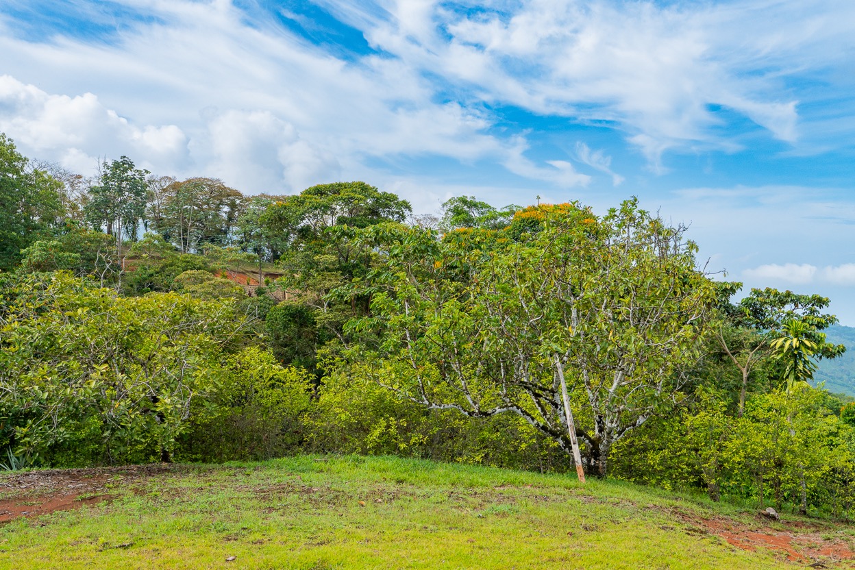 Ocean View Development Property with Waterfall Vista — 14.83 Acres in San Luis de Morete, Near Uvita selected