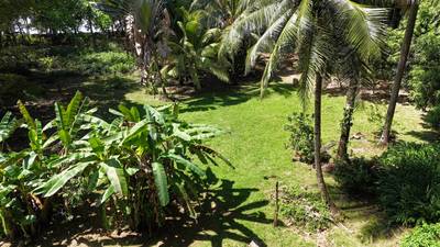 Rare Beachfront Lot Privately Located in Ballena Beach image 3