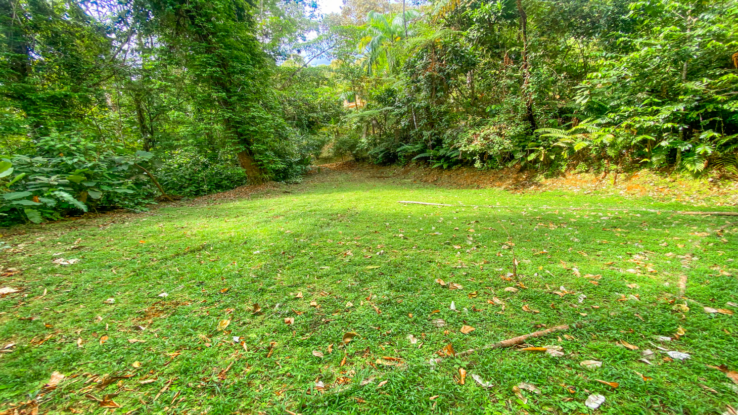 3 Bedroom Rainforest Home in Ojochal With River & Waterfall | 3.5 Acres Private selected
