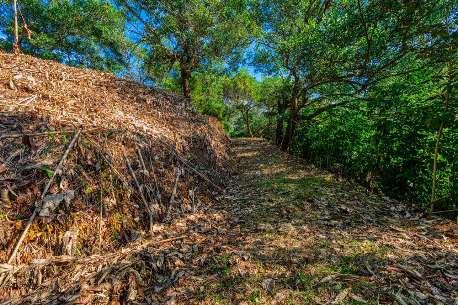 Ocean-View Property with Prime Location and Development Potential in Uvita selected