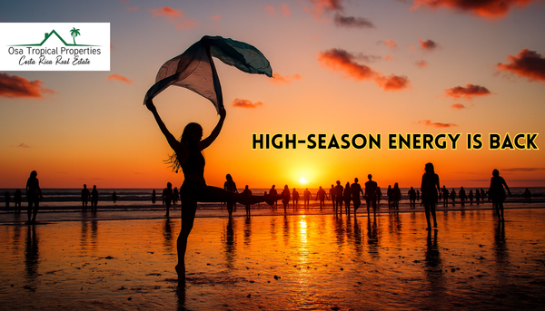 Costa Ballena Market Update: High-Season Energy Is Back