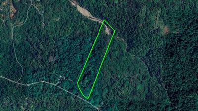 Riverfront Property with Primary Forest Close to Uvita Beaches image 1
