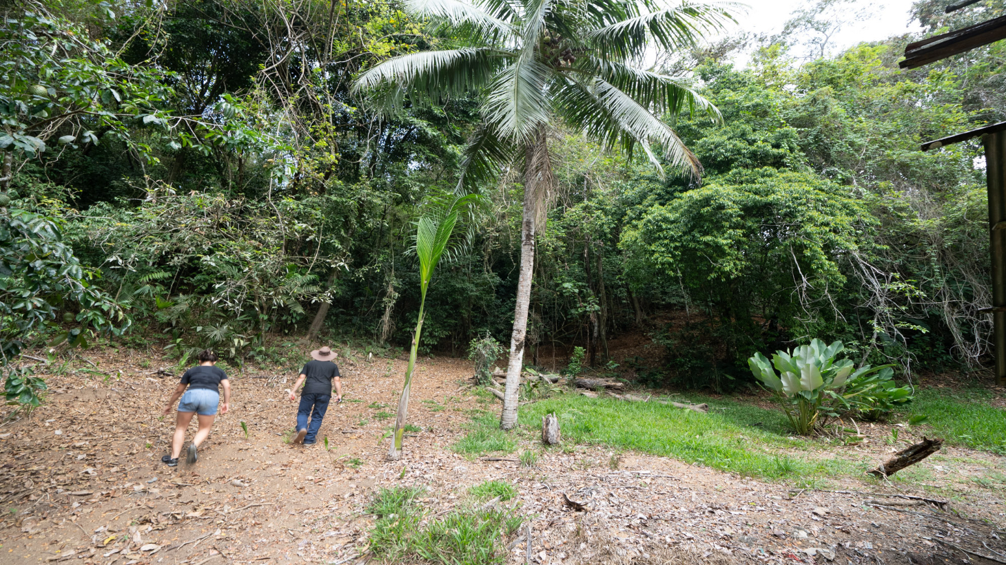 Rare 86-Acre Ocean View Estate Bordering Hacienda Barú – A Unique Opportunity for Conservation and Development selected