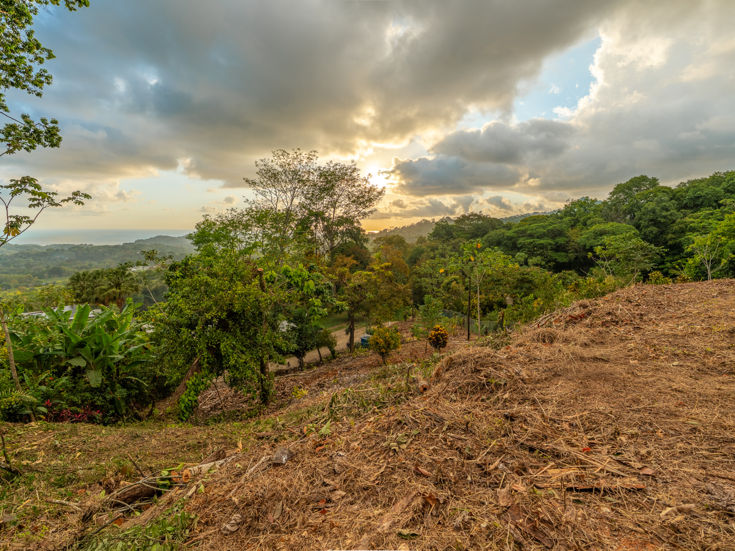 Ocean & Sunset View Lot for Sale in Ojochal, Costa Rica selected