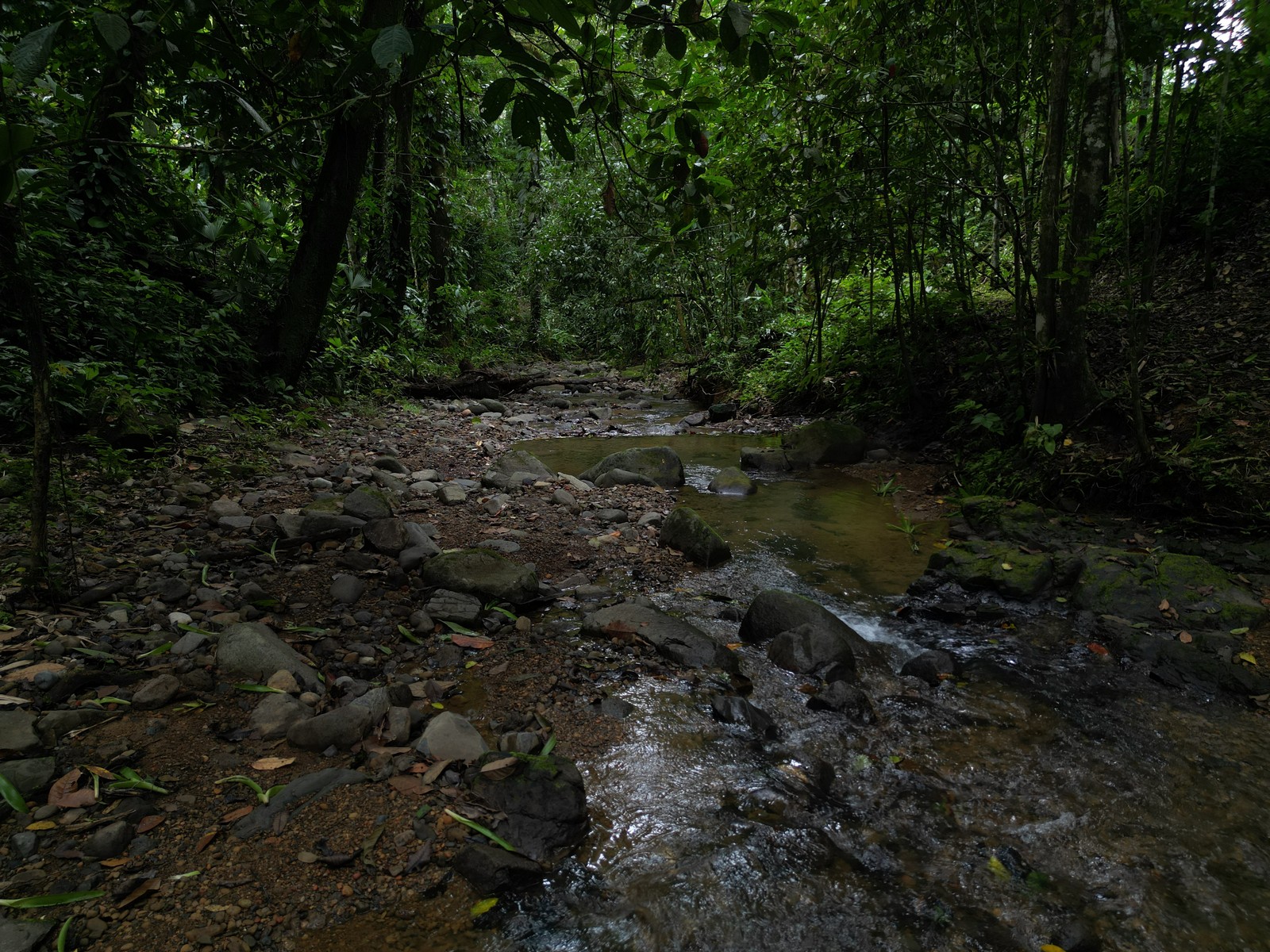 Turnkey Riverside Retreat in Ojochal selected