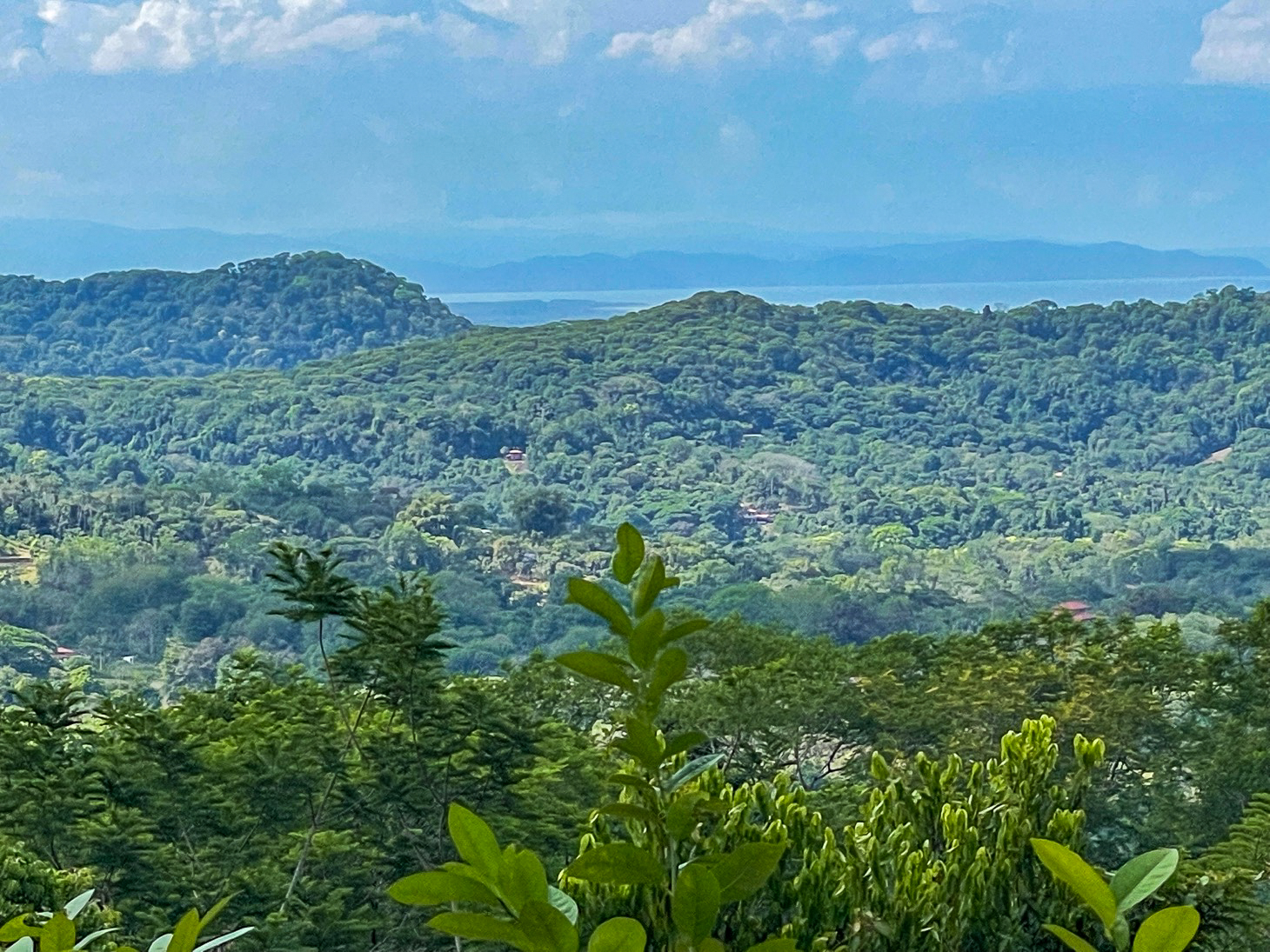 Excellent Dream Home Or Mini-Development Opportunity: 2.2-Acre Ocean View Property in Ojochal, Costa Rica selected